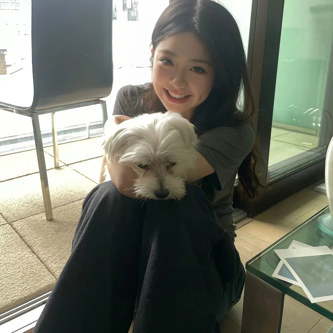 傲骨贤妻第六季